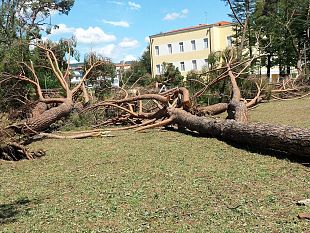 tempesta-su-firenze-rossi-firma-lo-stato-di-emergenza