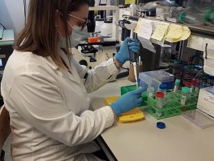 indagini-sui-tamponi-in-toscana