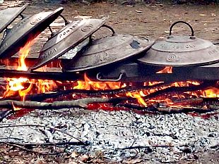 al-caffe-de-la-versiliana-degustazioni-di-percorsi-enogastronomici