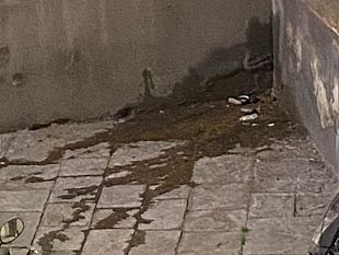 la-toscana-chiede-un-impegno-straordinario-alle-forze-dellordine