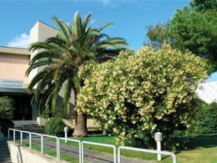 cartotecnica-maestrelli-chiude-lazienda-di-vinci