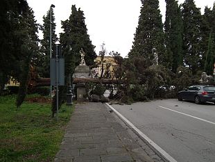 vento-forte-tetti-ed-alberi-caduti-scuole-chiuse-e-traffico-in-tilt