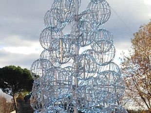 galluzzo-prove-di-illuminazione-per-lalbero-di-piazza-acciaioli