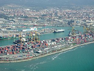 intercettato-container-con-sementi-potenzialmente-dannose