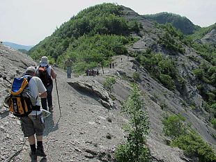 rete-escursionistica-toscana-tracciato-della-via-romea-proposto-dal-parco-delle-foreste-casentinesi