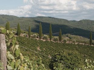 bilancio-ue-per-la-regione-politiche-di-coesione-da-potenziare