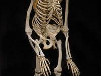 b110281424-notte-di-halloween-alla-specola