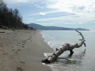 b401181424-approvato-il-piano-paesaggistico