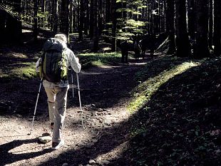 scoprire-la-foresta-di-camaldoli-aiutando-lamazzonia