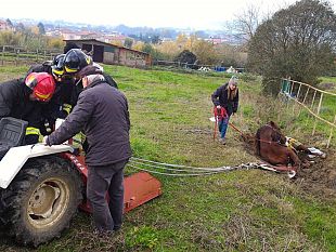 cavallo-in-difficolta-intervento-dei-vigili-del-fuoco-a-pistoia