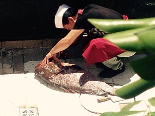 periferie-fratelli-ditalia-deposita-le-segnalazioni-dei-cittadini-ai-carabinieri-e-200-interrogazioni-al-sindaco