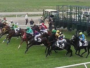 il-25-aprile-al-visarno-cavalli-cappelli-e-solidarieta