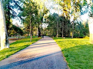 dalleuropa-17-milioni-di-euro-per-il-verde-fiorentino