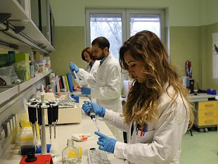 epatite-a-signa-indagine-epidemiologica-vaccinazione