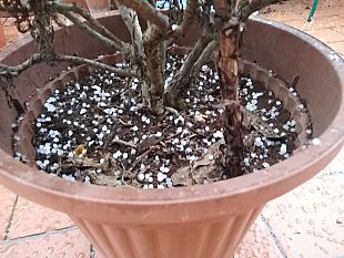 grandine-a-sorpresa-su-firenze-occhio-alla-neve-in-montagna