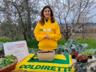 primavera-i-consigli-dei-produttori-agricoli-per-ottenere-insalate-p