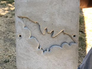 zanzara-tigre-massima-allerta-in-toscana