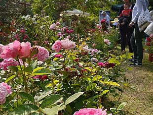 la-seconda-edizione-di-firenze-flower-show