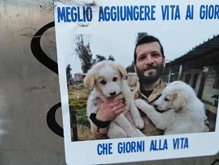 in-piazza-giorgini-un-albero-in-memoria-di-lorenzo-orsetti
