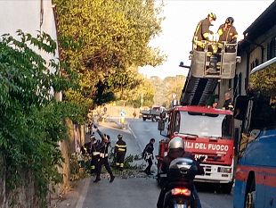 galluzzo-cede-albero-tronco-in-strada-traffico-in-tilt