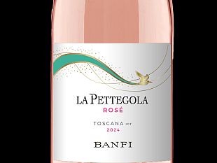 il-vigneto-toscano-cresce-e-si-rafforza-sui-mercati-internazionali