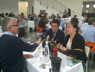 passione-maremma-con-i-cavalli-della-via-clodia