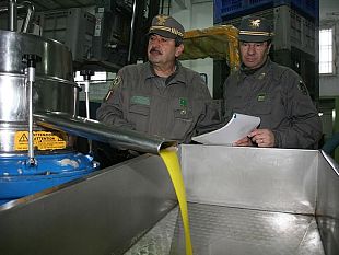 maxi-sequestro-olio-igp-toscano-ma-arriva-dalla-grecia