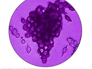 toscanello-doro-ecco-come-riutilizzare-gli-scarti-delluva