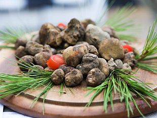 un-marketing-strategico-al-profumo-di-tartufo-bianco