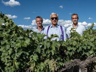 tra-toscana-e-sicilia-il-mondo-vino-della-famiglia-moretti-cuseri