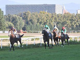 il-bagnino-con-nicola-pinna-domina-al-visarno-sui-1500-metri-del-premio-citation