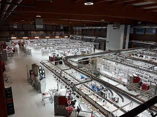 grande-preoccupazione