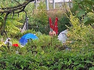 nuovo-campo-rom-in-via-lorenzini