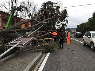 domani-ancora-molto-vento