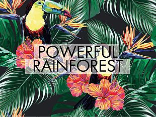 dal-22-al-24-luglio-alla-fortezza-da-basso-la-10-edizione-di-maredamare