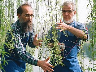 in-maremma-dal-3-agosto-ce-festambiente