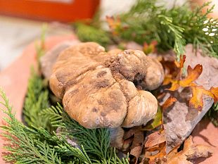 pioggia-di-tartufi-nel-fine-settimana