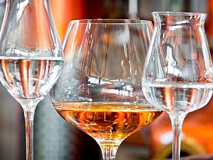 b309231450-grapperie-aperte-la-10^-edizione-domenica-6-ottobre