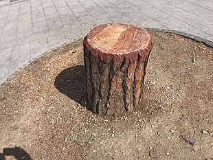 alberi-in-citta-la-coalizione-degli-ambientalisti