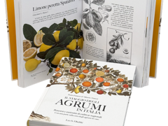 il-viaggio-degli-agrumi-in-italia-di-paola-fanucci-e-alberto-tintori