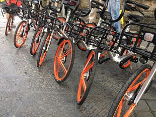 i-limiti-del-bike-sharing-il-clan-destino-del-ciclista-fiorentino