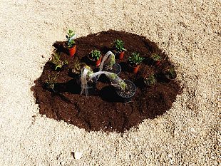 botanica-temporanea-larte-dei-giardini-invisibili