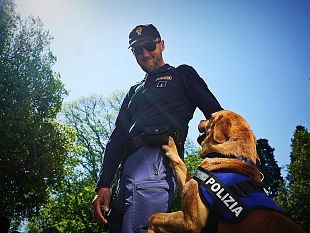 agosto-a-firenze-servizi-straordinari-di-controllo