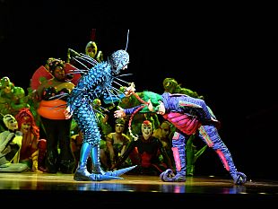 cirque-du-soleil-ovo-a-firenze-dall8-al-12-novembre