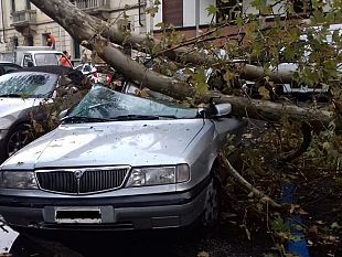 maltempo-di-martedi-29-ottobre-resoconto-dei-danni