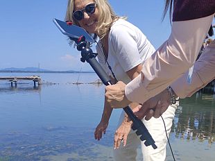 pesca-a-orbetello-liberate-un-milione-di-anguille