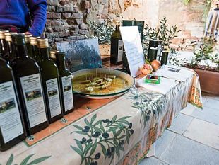 tartufo-a-forcoli-la-32a-edizione-della-mostra-mercato
