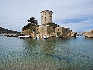 coronavirus-il-giglio-e-un-caso-scientifico