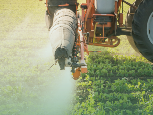 campi-bisenzio-in-vigore-il-divieto-di-utilizzo-del-glifosate
