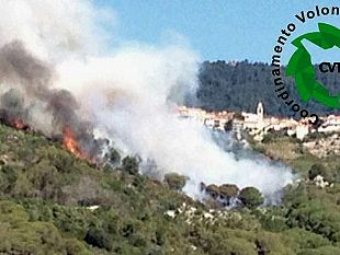 incendi-brucia-il-bosco-di-campagnatico